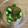 akitchen15's cooksnap of when they made おくらの梅おかか和え.