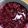 i☆can's cooksnap of when they made ヤマモモジャム.