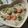 Risoa 51's cooksnap of when they made 豆乳で♪そら豆とえびのミルク煮.