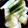 xyzクック's cooksnap of when they made 油少量で揚げ出し豆腐.