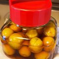 きおら+-22's cooksnap of when they made 梅講師直伝㊽完熟梅の甘酢漬け（梅干し風）.