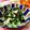 クックDGCFO3☆'s cooksnap of when they made 水菜とツナのシャキシャキサラダ.