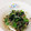 ほのそすママ's cooksnap of when they made こまつなの海苔の佃煮和え.