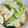 YU♡CO's cooksnap of when they made 簡単☆ささみのさっぱりサラダ♡.