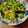 ☆さぶ☆☆'s cooksnap of when they made 電子レンジで！簡単ピーマンの塩昆布和え.