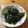 ぜんだいママ's cooksnap of when they made わかめと海苔で韓国海苔風ナムル♪.