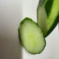 クックH86AFM☆'s cooksnap of when they made 「便利で簡単」キュウリの苦味を消す方法.