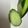 クックH86AFM☆'s cooksnap of when they made 「便利で簡単」キュウリの苦味を消す方法.