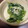 クックH86AFM☆'s cooksnap of when they made ほうれん草の胡麻和え.