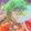 kokone.love's cooksnap of when they made ジップロックで簡単！サーモン漬け.
