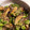 クックQ3HR1F☆'s cooksnap of when they made ナスとピーマンの味噌炒め.