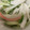 snow012's cooksnap of when they made 大根とカニカマと胡瓜の和風シーザー風和え.
