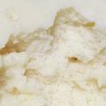 クックY08S17☆'s cooksnap of when they made 卵・乳・砂糖なし！レンジで糀甘酒蒸しパン.