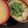 アジs's cooksnap of when they made 簡単レンジ！　春菊辛子和え！胡麻和え！.