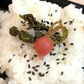 だらだらな's cooksnap of when they made まるで野沢菜漬け！小松菜のお漬け物.