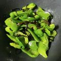 __なーちゃん__'s cooksnap of when they made 【電子レンジで簡単】ピーマンの和風ナムル.