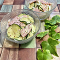 ちゃかぴまま's cooksnap of when they made 夏☆ズッキーニとハムの粒マスマヨサラダ.