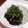 チコリママ's cooksnap of when they made 息子に贈る＊茄子の炒め煮.