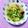 ふたごゆき's cooksnap of when they made ほうれん草と卵のすまし汁.