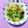 ふたごゆき's cooksnap of when they made ほうれん草と卵のすまし汁.