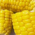 ☆ゆりマヨ♪'s cooksnap of when they made サランラップ使わないレンジでとうもろこし.