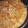 マリタマト's cooksnap of when they made 牛肉としらたきの牛丼風.