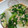ちーまぐ's cooksnap of when they made かぶのとろとろ鶏そぼろ餡掛け.