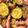 sacching's cooksnap of when they made 夏野菜！ベーコンとズッキーニの簡単炒め.