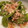 まいめろp's cooksnap of when they made ししとうの甘煮.