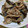 くるみちる's cooksnap of when they made 簡単☆豚肉と茄子のごま味噌炒め.
