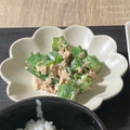 料理上達中's cooksnap of when they made 直ぐに一品☆おくらのツナマヨ和え.