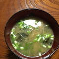 Ruriluru's cooksnap of when they made 基本の味噌汁。えのき、長ネギ、油揚げ。.