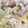 ★りっちゃん♪'s cooksnap of when they made 白だしで！豚こまと葱の和風パスタ！.