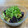 ＊＊まゆゆ＊＊'s cooksnap of when they made レンジde簡単♡揚げない！なすの揚げ浸し.