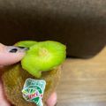 na_o♡'s cooksnap of when they made キウイの芯の取り方＆平等な切り方☆.