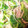 クック2O2RWD☆'s cooksnap of when they made 豚こまともやしの蒸しポン酢あえ.