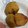 こっこのすけ's cooksnap of when they made 簡単☆本格！里芋の煮っころがし.