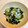 モミ太くん's cooksnap of when they made 胡瓜としらすと若布の酢の物.