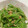 ゆみらんたん's cooksnap of when they made 絹さやの胡麻和え　~ひと手間かけました~.