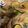 クックOS6YTL☆'s cooksnap of when they made 夏野菜でスタミナたっぷり♫冷しゃぶサラダ.
