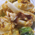 noelno6's cooksnap of when they made 『長ネギ１本ぺろりんちょ♪』～ネギ玉さん.
