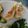 melmarilyn's cooksnap of when they made ☆旬の果物！イチジク美味しい天ぷら☆☆☆.