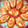 ｅｋ４'s cooksnap of when they made *さつま揚げの紅生姜マヨネーズ焼き*.