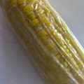 s89k's cooksnap of when they made レンジで簡単！４分半！茹でとうもろこし.