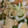 クックI1FJ57☆'s cooksnap of when they made キャベツと厚揚げのオイスター炒め.