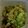 クック2O2RWD☆'s cooksnap of when they made ズッキーニの梅おかか和え.