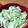 クックHIYL6I☆'s cooksnap of when they made キャベツ大量消費！やみつきキャベツ浅漬け.