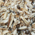 クックX6LNW0☆'s cooksnap of when they made 作り置きおかず2：キノコのオイスター炒め.