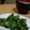 Seira's cooksnap of when they made 甘とうがらしの醤油炒め.