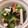 neeboo♬♪'s cooksnap of when they made きゅうりの酢の物.